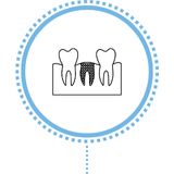 bone graft icon